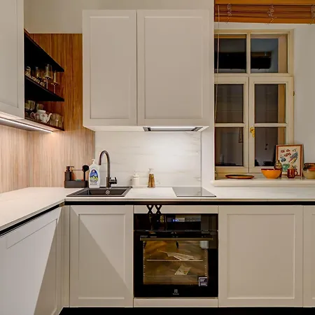 Authentic Old Heritage, 2br, Grand Ceilings Riga