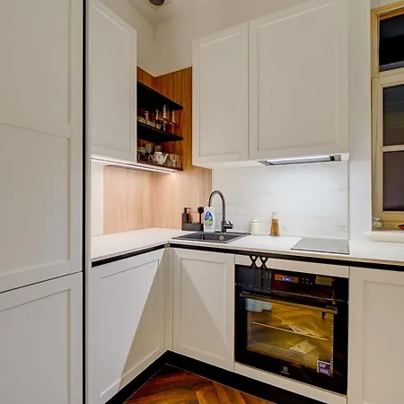 Authentic Old Heritage, 2br, Grand Ceilings 公寓 里加